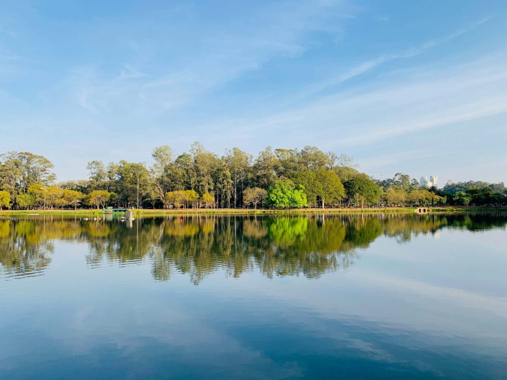 這張圖片拍攝了聖保羅伊比拉布埃拉公園的湖景,湖水平靜如鏡,倒映出岸邊的樹木與天空。