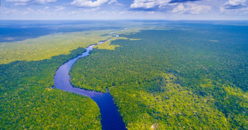該圖片展示了亞馬遜雨林的壯闊景象,密集的綠色森林覆蓋著地平線,蜿蜒的河流穿梭其中,描繪了大自然的無限生機與美麗。整體畫面色彩鮮豔,讓人深刻感受到雨林的廣袤與奇妙。